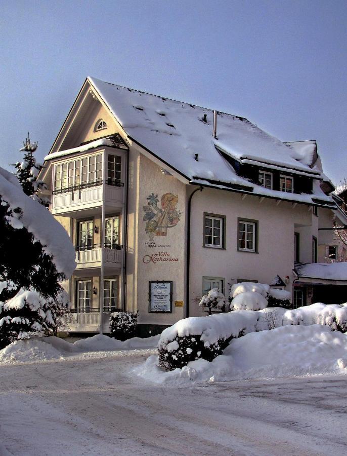 Villa Katharina Penthouse Wohnung Willingen  Eksteriør billede